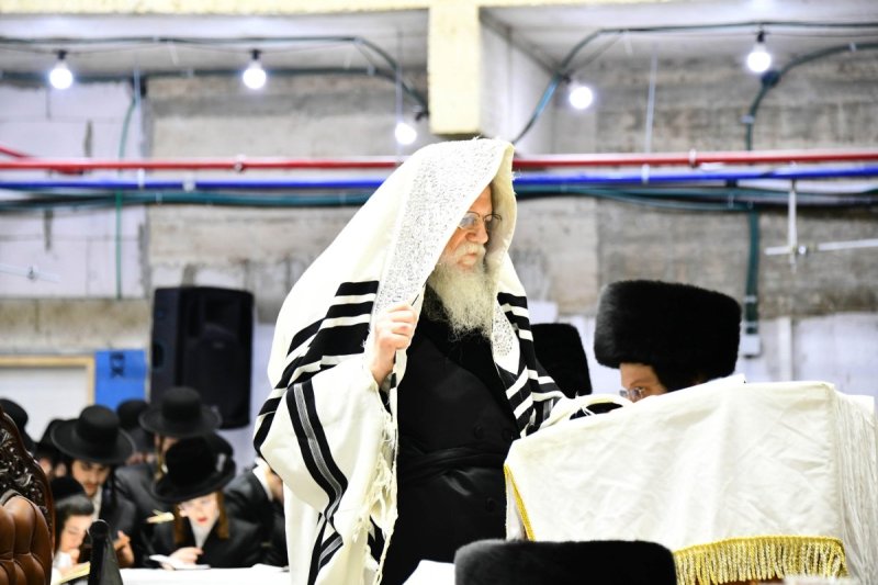 שוקי לרר