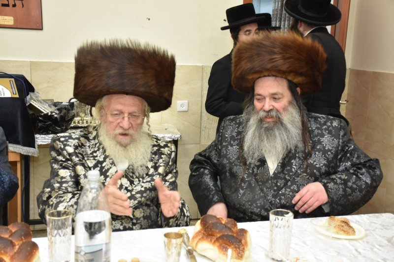 יהודה פרקוביץ