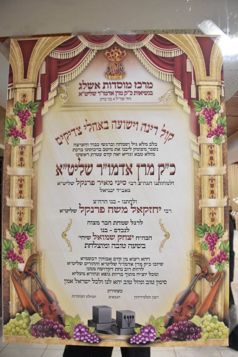 יהודה פרקוביץ