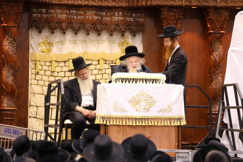 דוד ארזני
