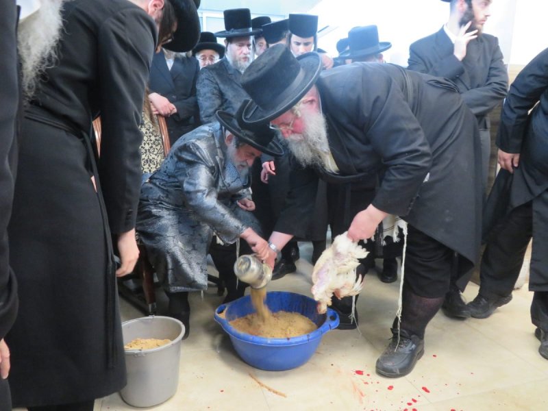 באדיבות המצלם