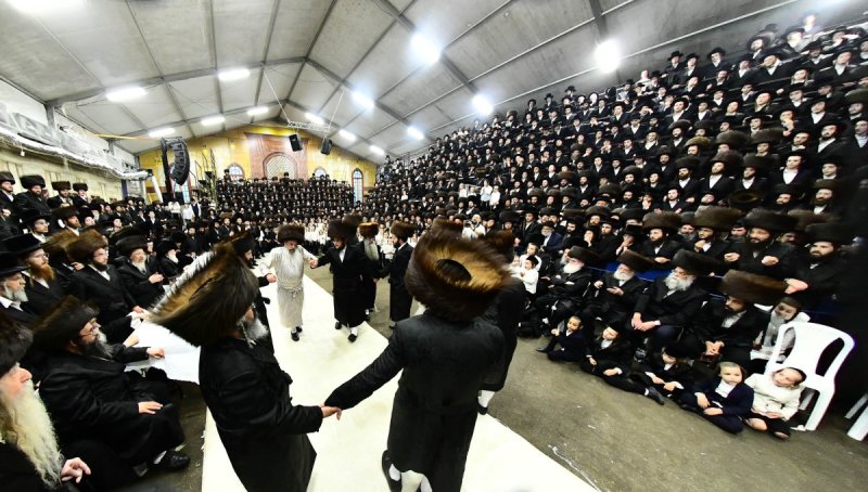 שוקי לרר