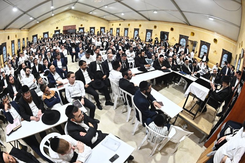 שוקי לרר