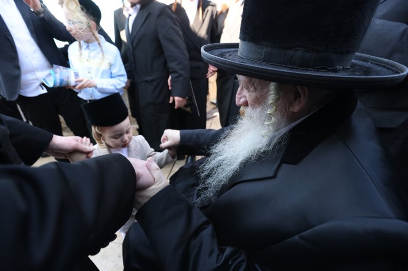 דוד כהן