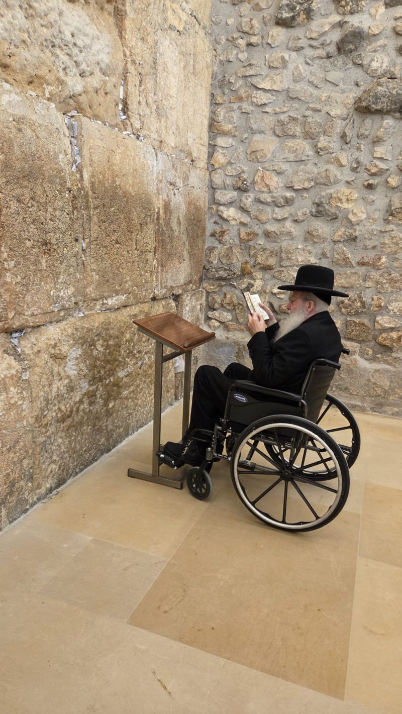 באדיבות המצלם