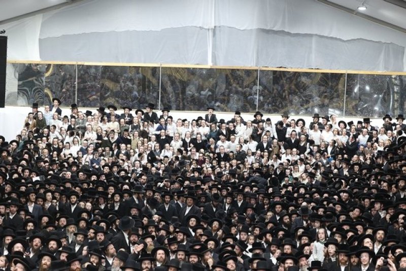 א. אייזנבאך ודוד ארזני