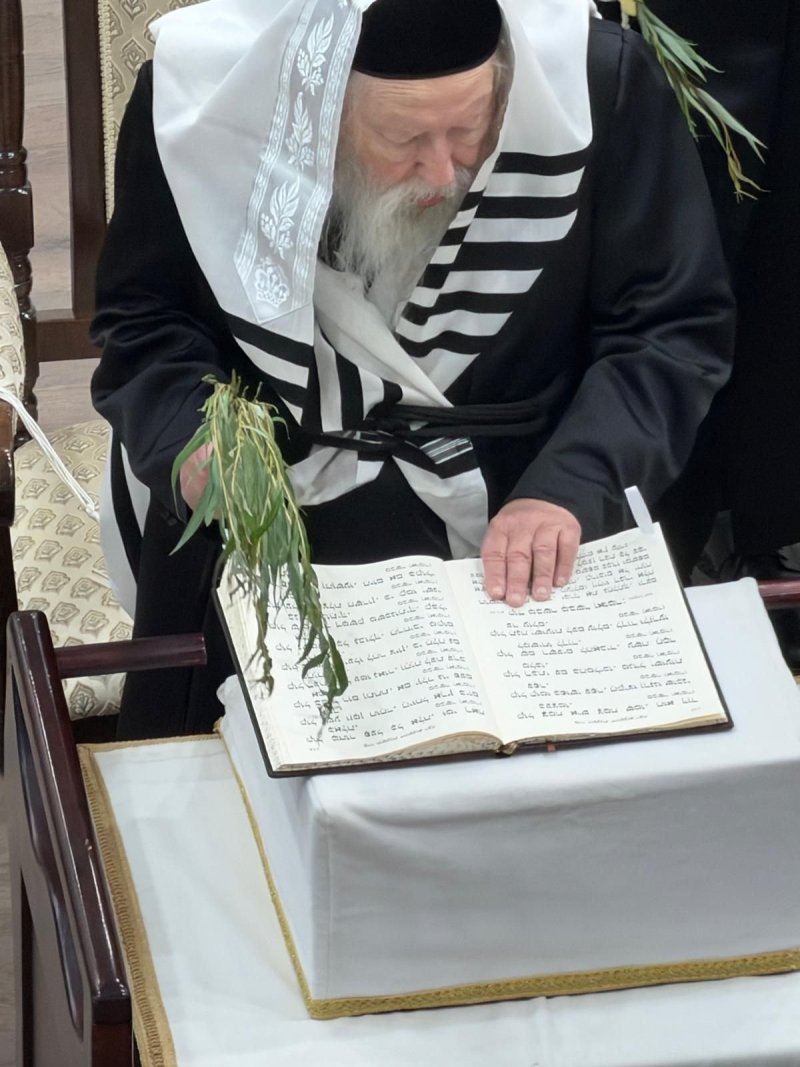 באדיבות המצלם