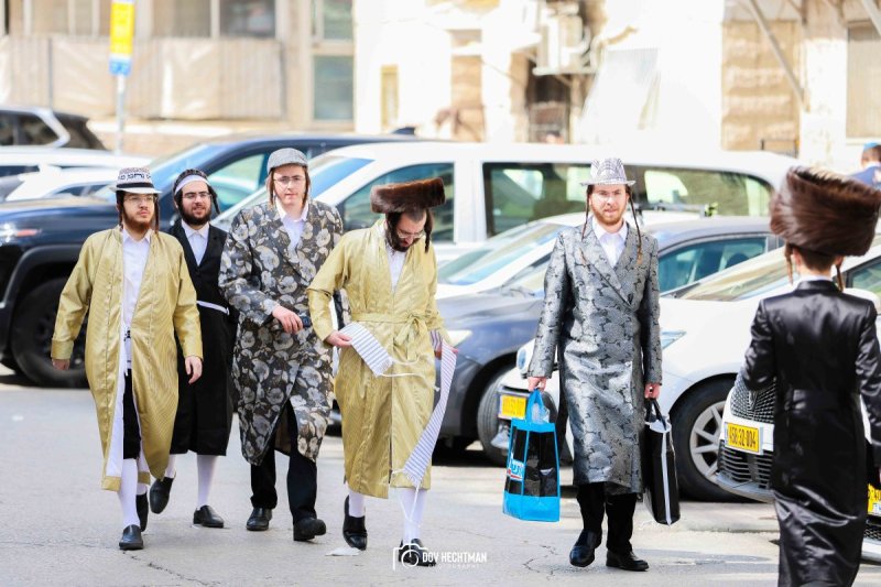 דוב בער הכטמן