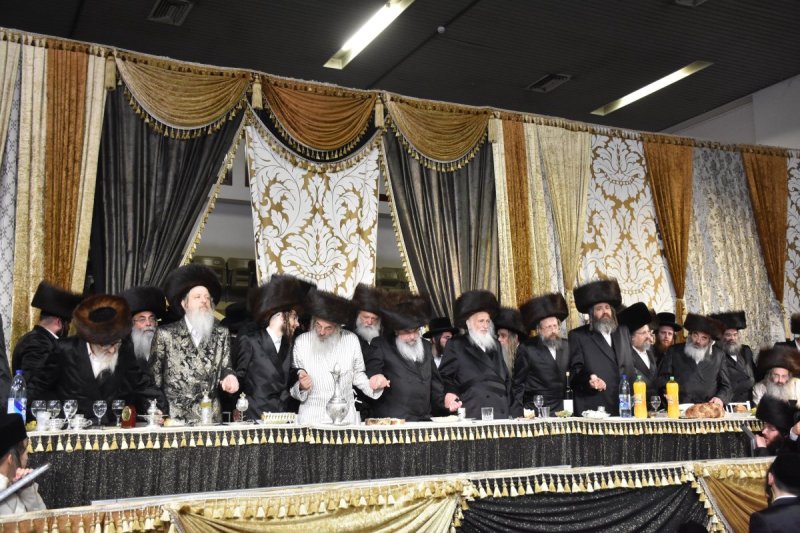 יהודה פרקוביץ