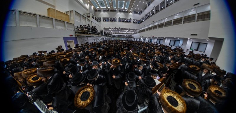 האחים לאנטשעווסקי ואושי וויינגארטן