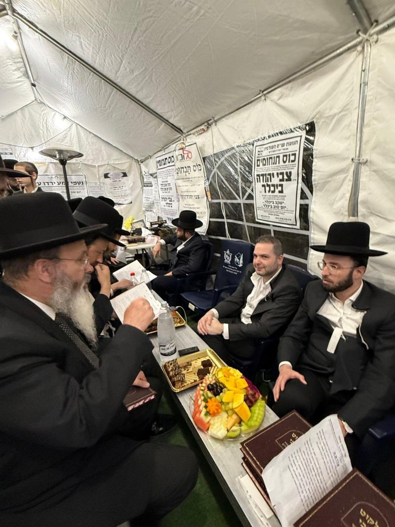 באדיבות המצלם