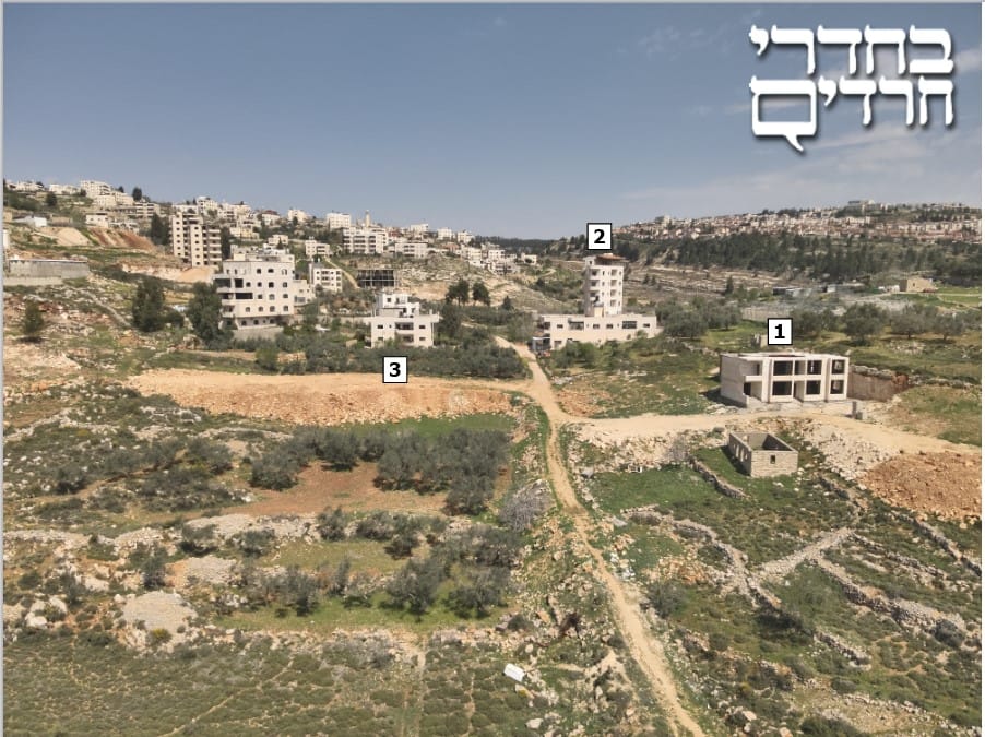 תנועת רגבים