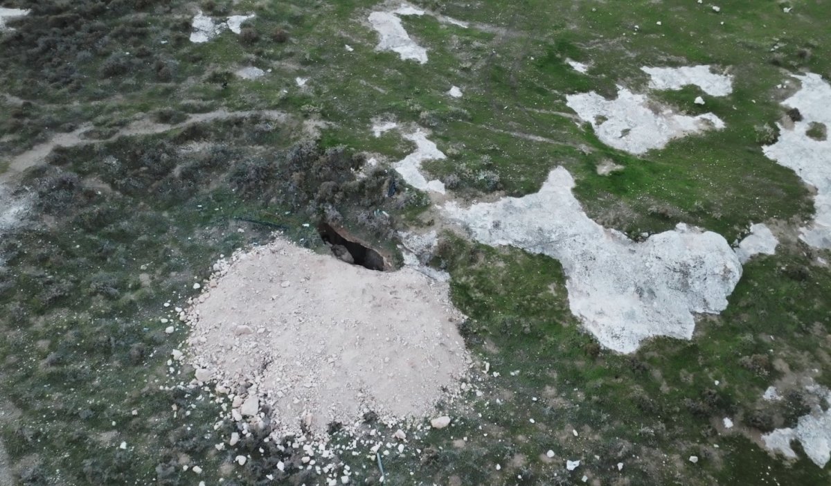 יולי שוורץ / אמיל אלג'ם, רשות העתיקות