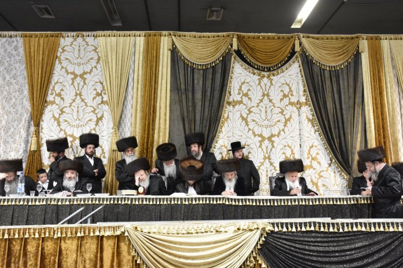 יהודה פרקוביץ