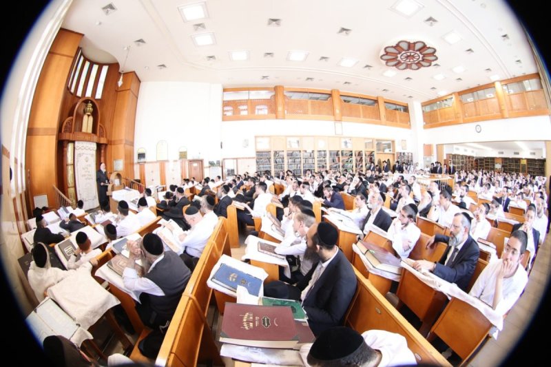 שלומי טריכטר