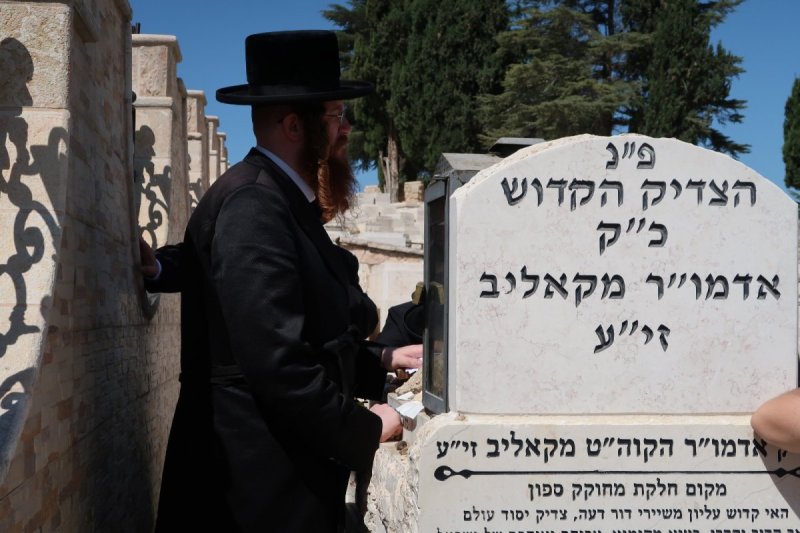 באדיבות המצלם