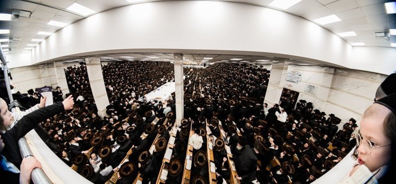 י. שטיין
