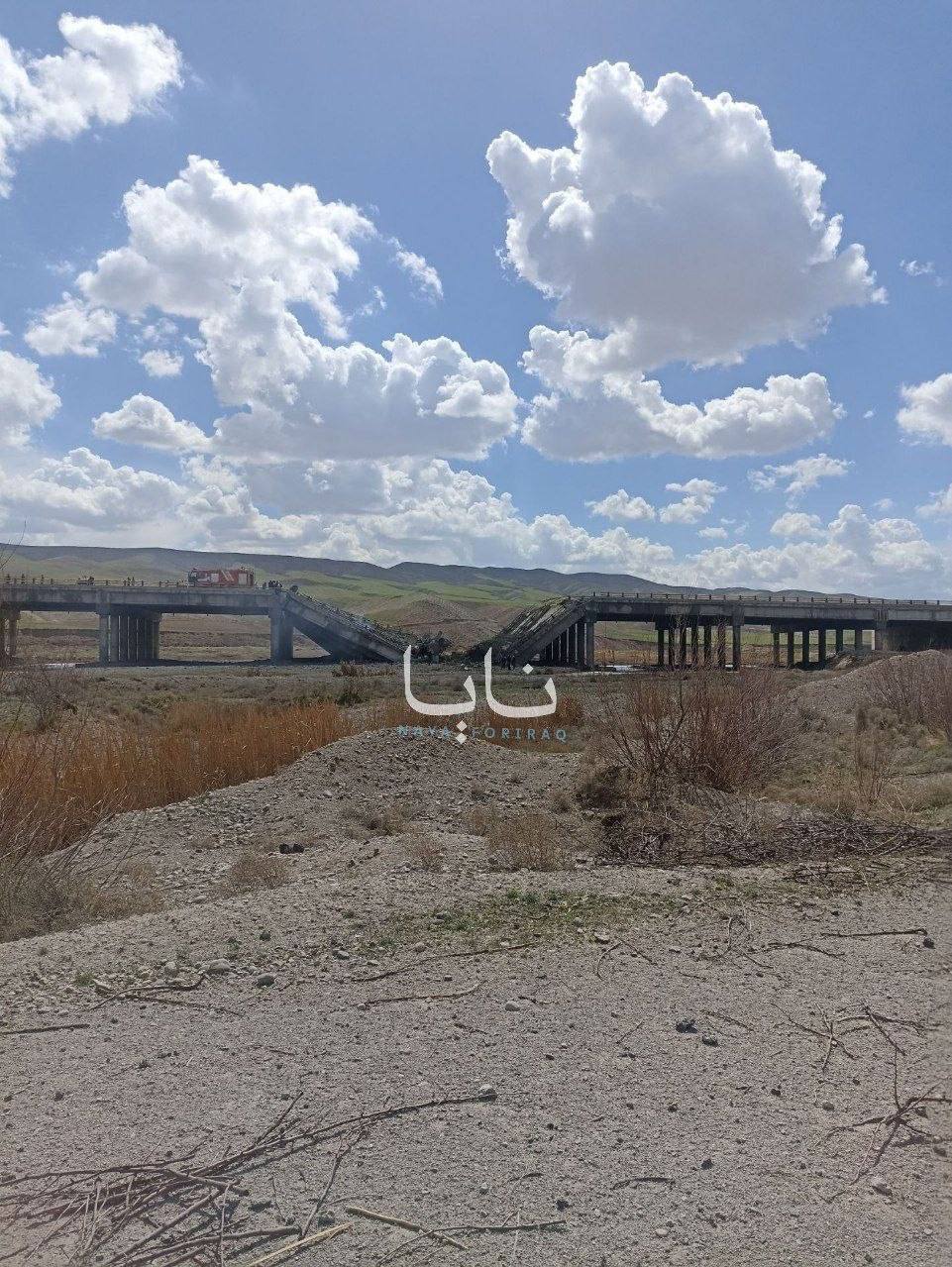 רשתות ערביות