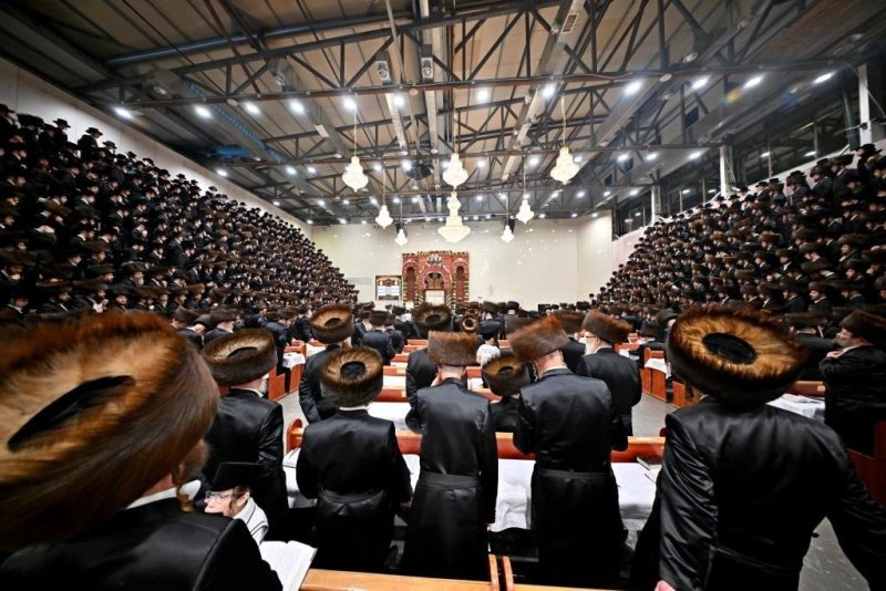 יהושע פרוכטר