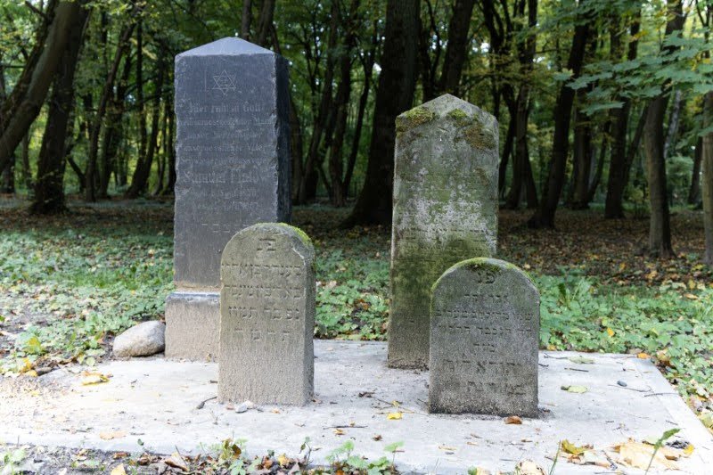 אנדריי בויץ