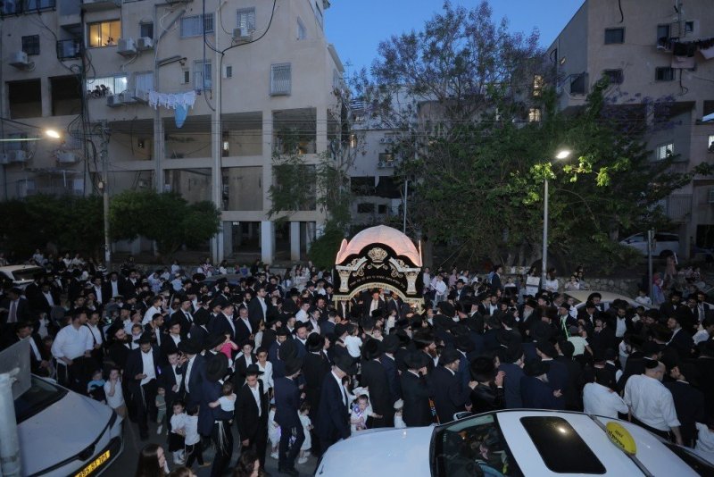 אלעזר פיינשטיין