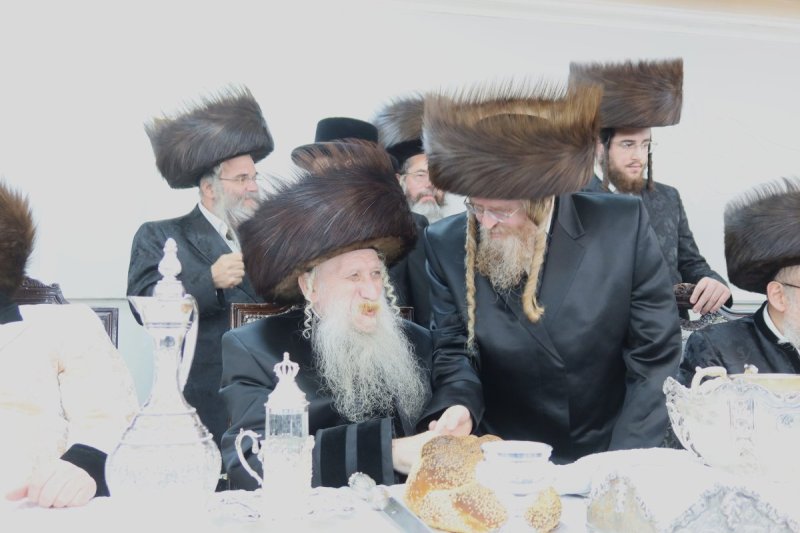 שימי פ.