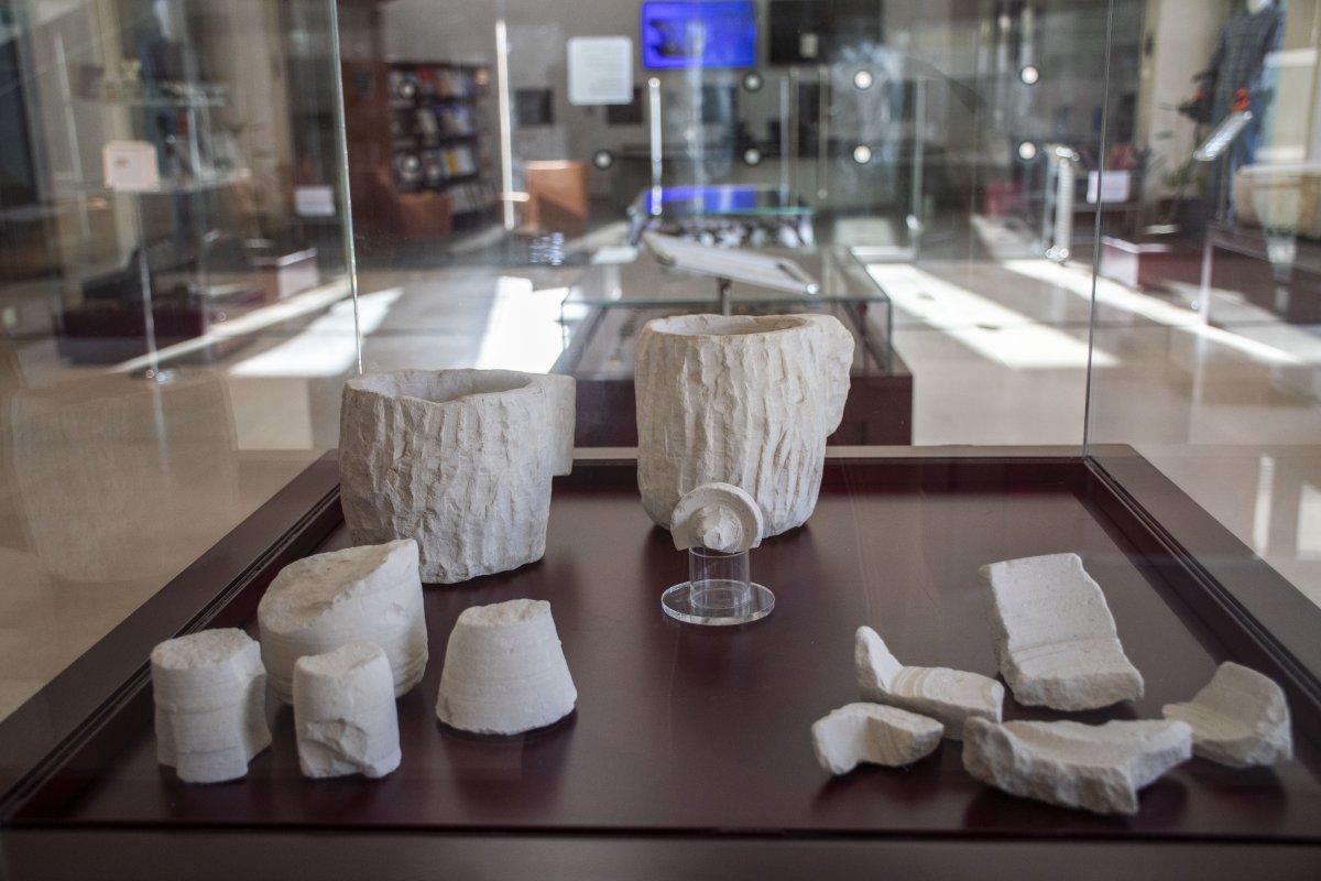 יולי שוורץ / אמיל אלג'ם, רשות העתיקות