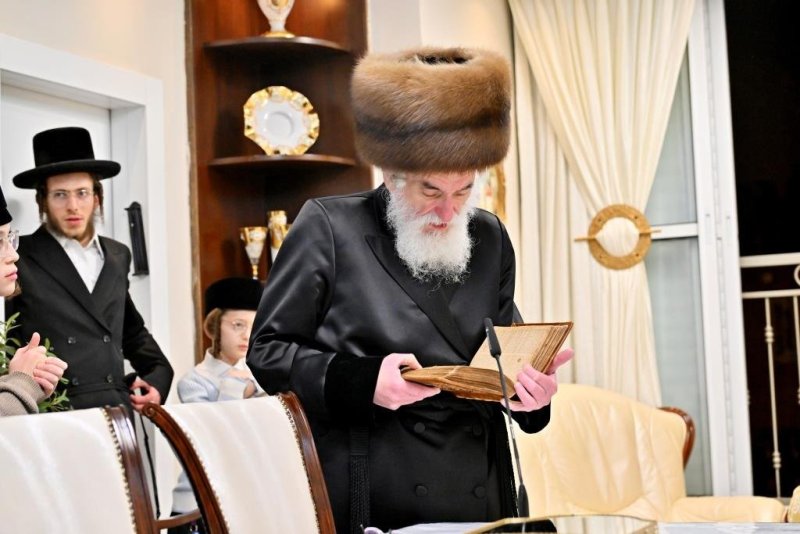 יהושע פרוכטר