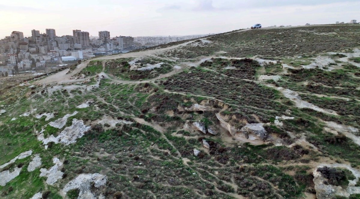 יולי שוורץ / אמיל אלג'ם, רשות העתיקות