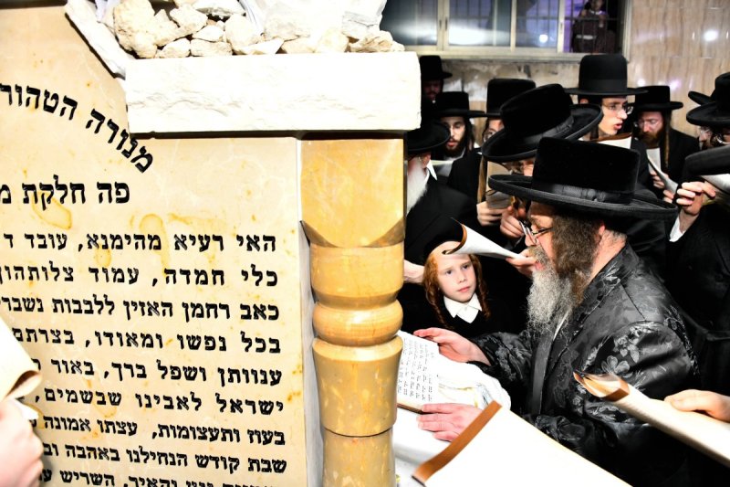 שוקי לרר