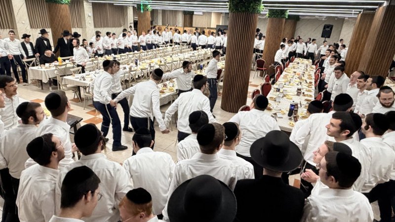 אלעזר פיינשטיין