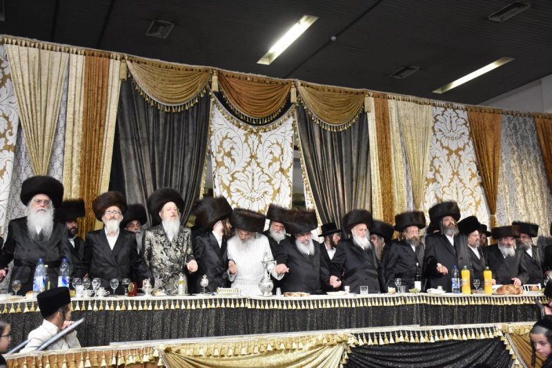 יהודה פרקוביץ