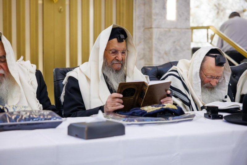 דניאל נפוסי ומאיר זלזניק