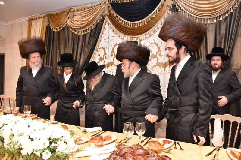 יהודה פרקוביץ