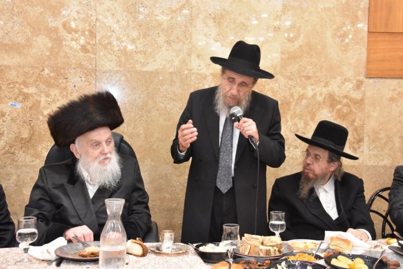 יהודה פרקוביץ