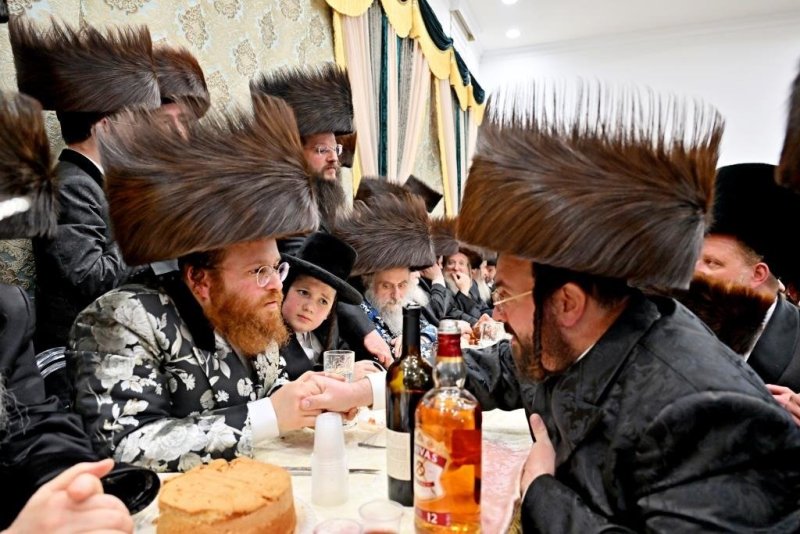 יהושע פרוכטר