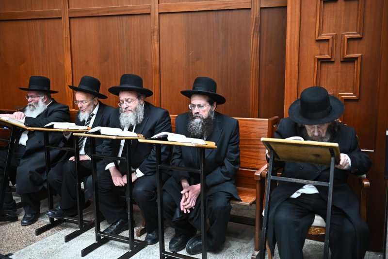 שוקי לרר