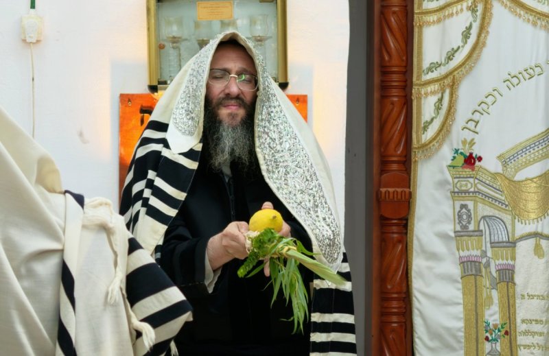 שוקי לרר