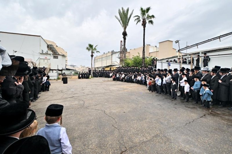 יהושע פרוכטר