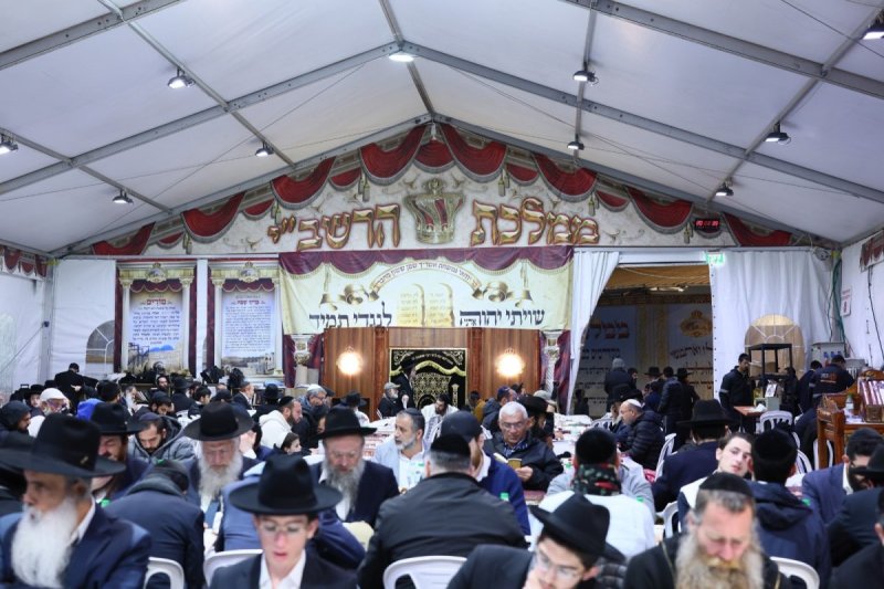 ים לביא