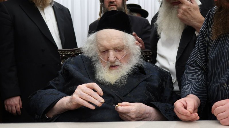 באדיבות המצלם