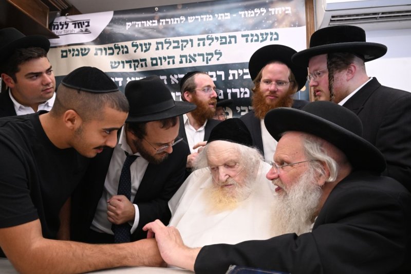 ליפא מוזר