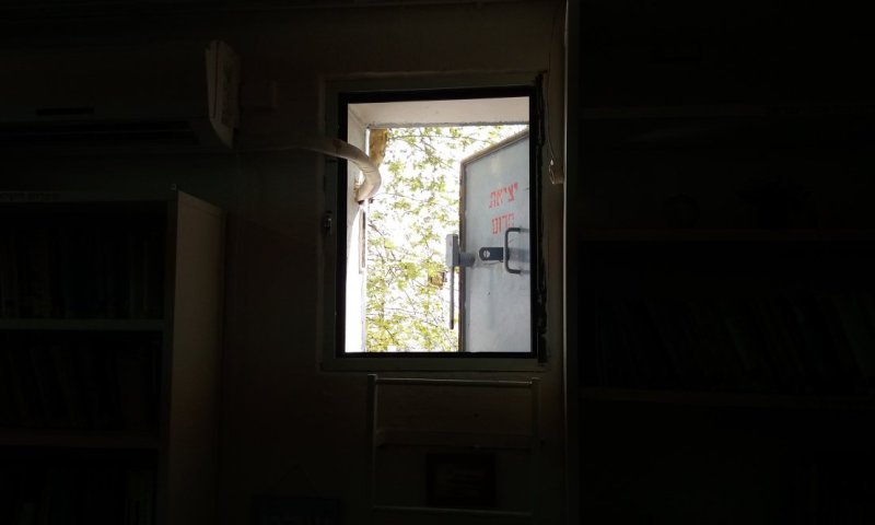 המלחמה מול איראן: אלו ההנחיות של פיקוד העורף