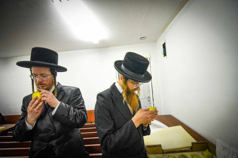 ארי קופרשטוק