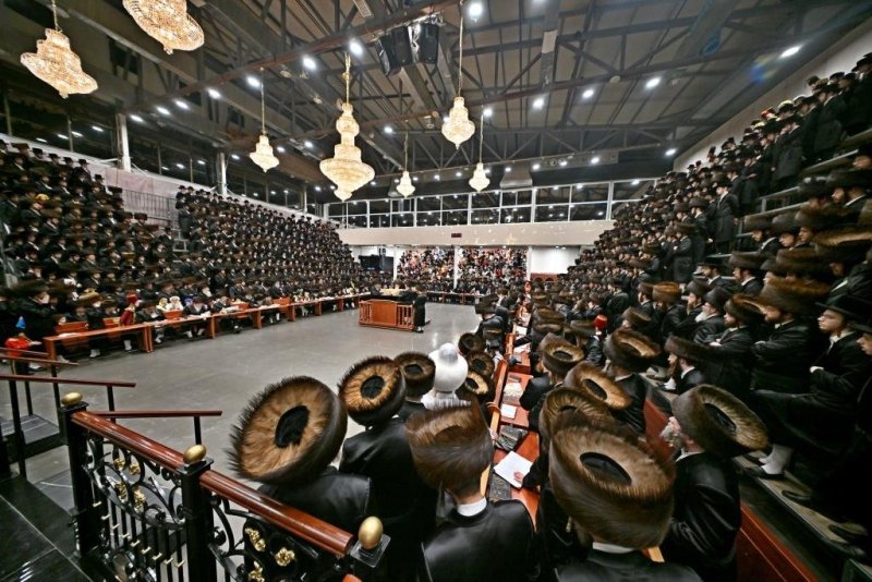 יהושע פרוכטר