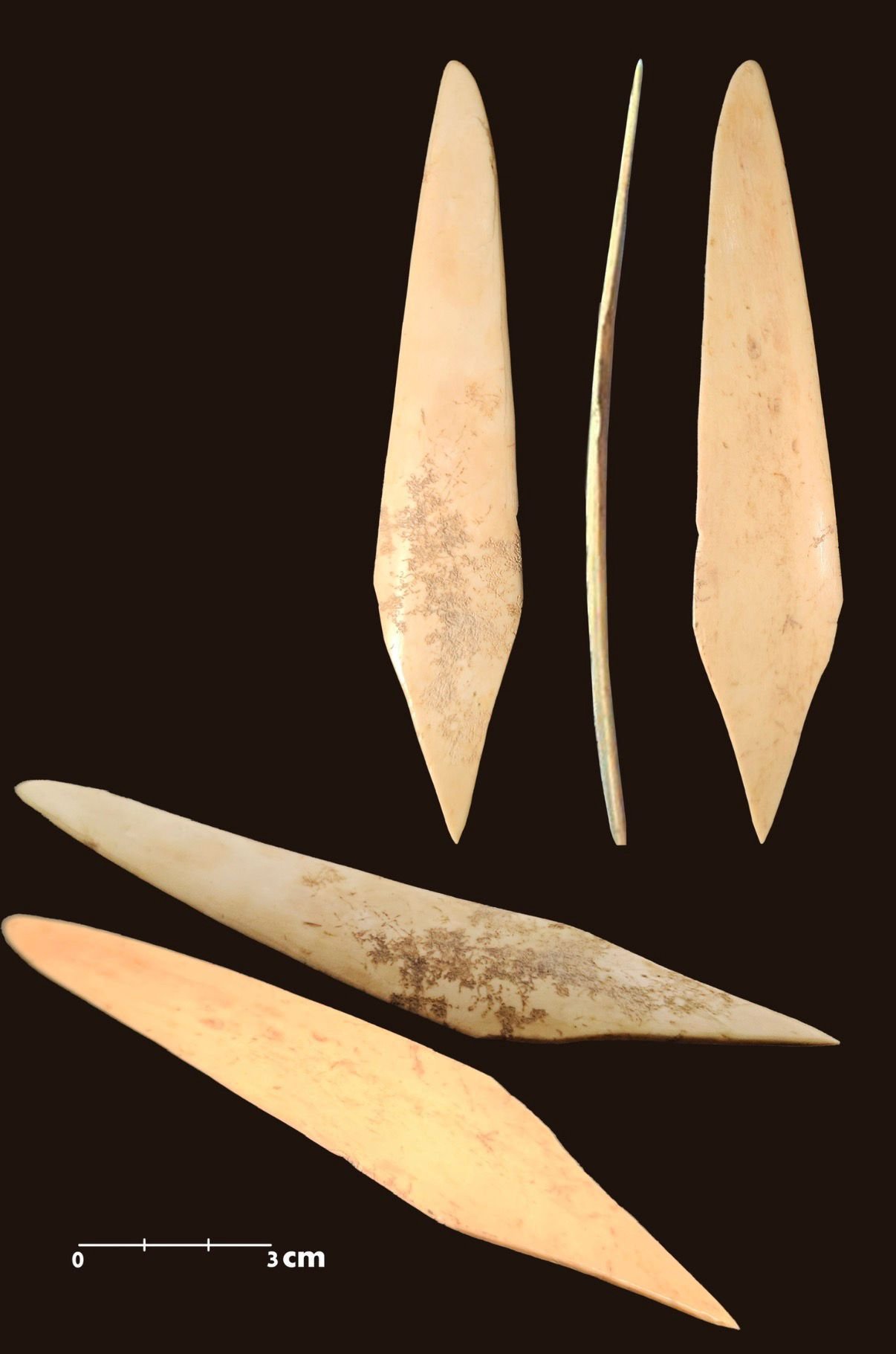 דוברות מתפ"ש