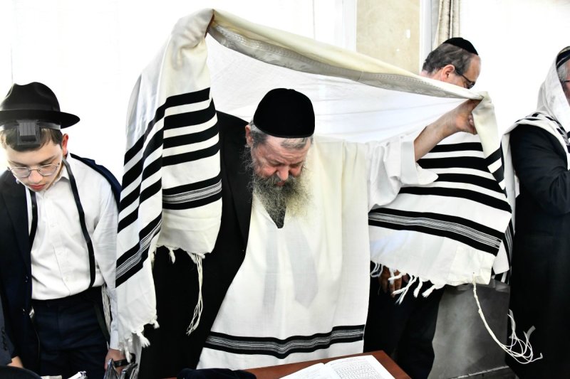 שוקי לרר