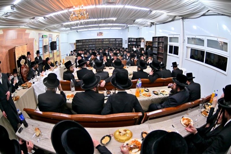 יהושע פרוכטר