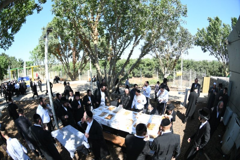 א. אייזנבאך
