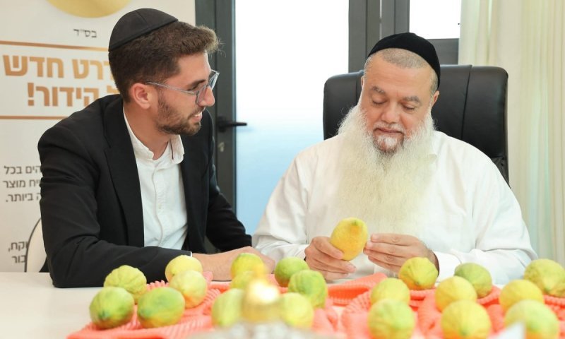 שלושים יום קודם החג: הגר"י כהן בדק אתרוגים ראשונים מהבד"ץ שתחת פיקוחו